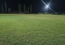 Ελπίς Προβατά: Έναρξη προετοιμασίας